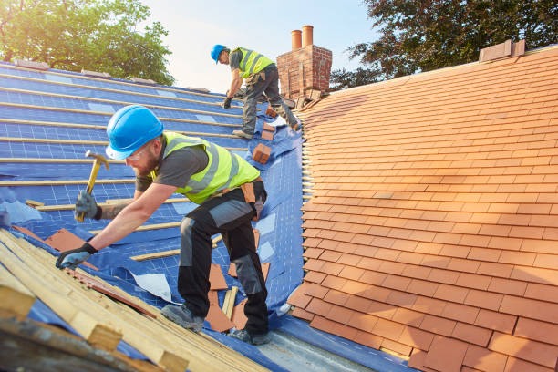 Best Skylight Installation and Repair  in South Gate Ridge, FL